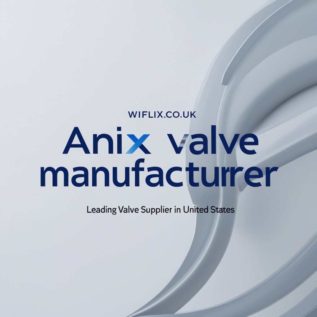 Anix Valve Manufacturer